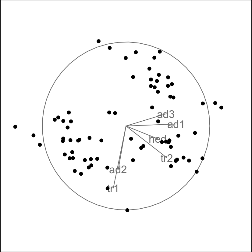 Final projection from a guided tour shows a hint of three clusters.